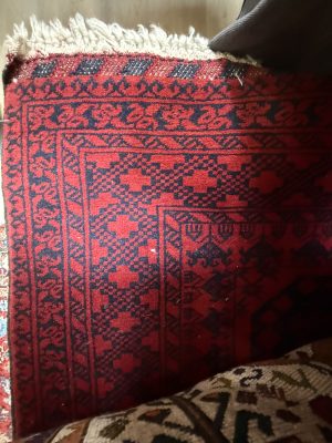 Afghan Turkman 3x5 Area Rug